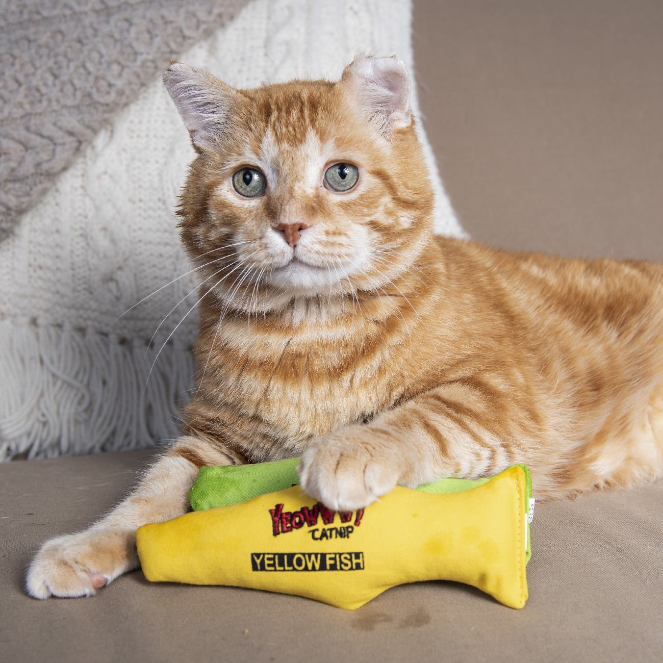 Yeowww! Cat Toys with Pure American Catnip - Yellow Fish image 0