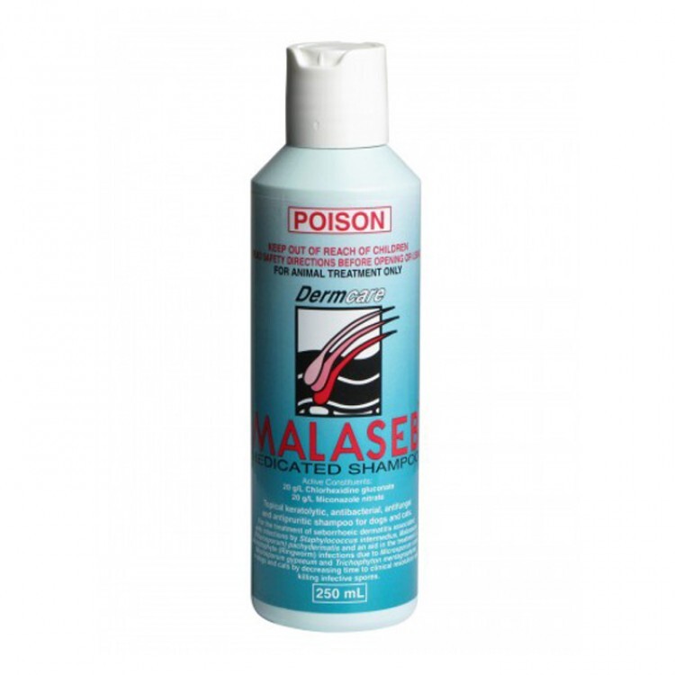 malaseb shampoo near me