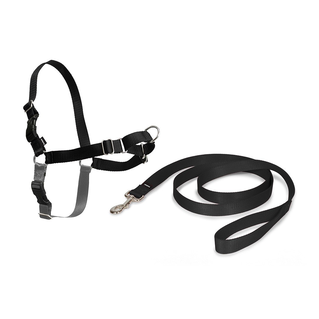 Petsafe Easy Walk Front-Attachment Harness and Lead Set image 0