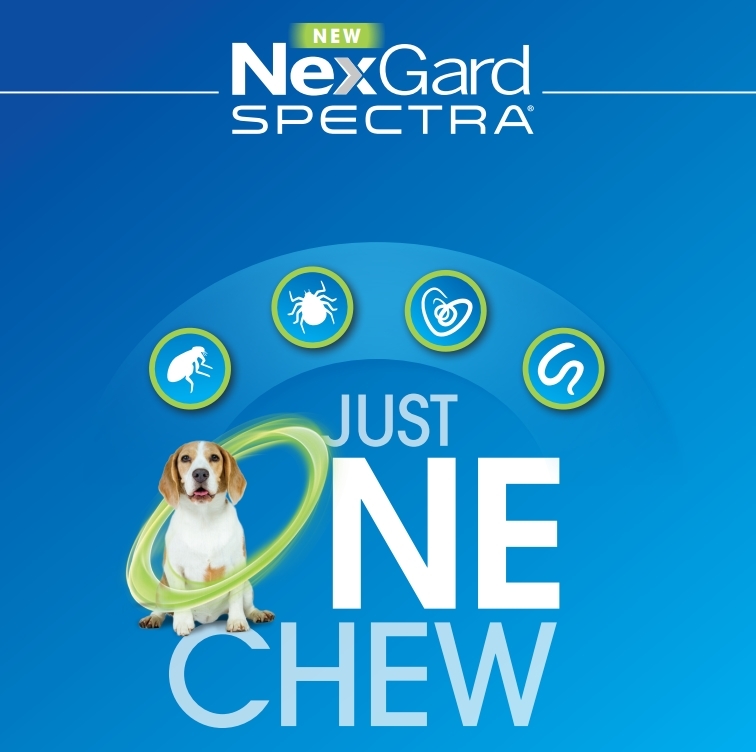 Nexgard Spectra Flea, Tick, Heart & All-Wormer Chew for Dogs 7.5-15kg image 0