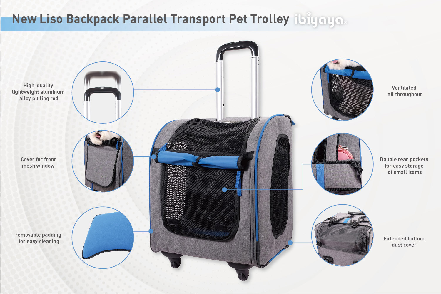 parallels transport parallels transport