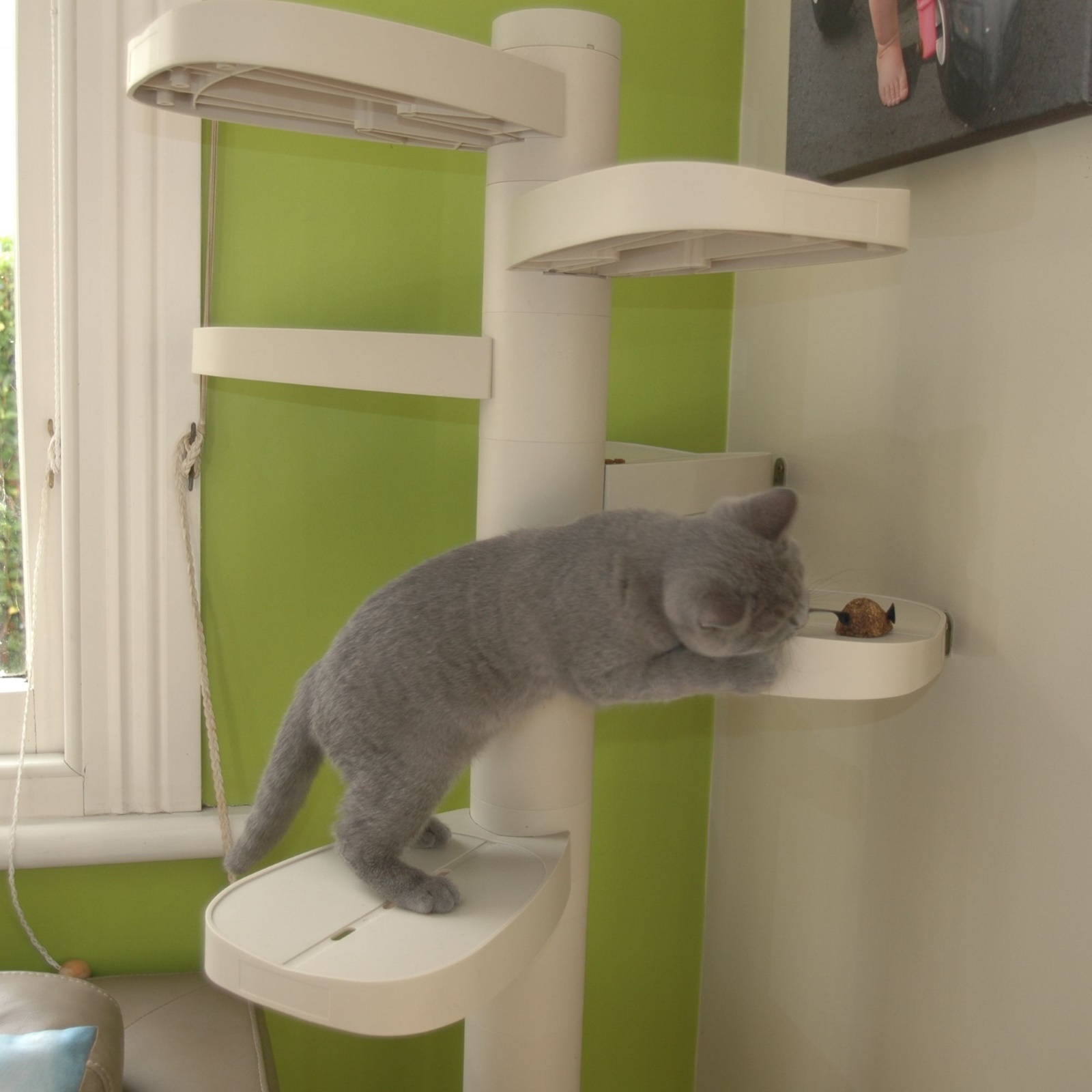 Monkee Tree - The Scalable Cat Climbing Ladder 12 Trunk Starter Pack image 9