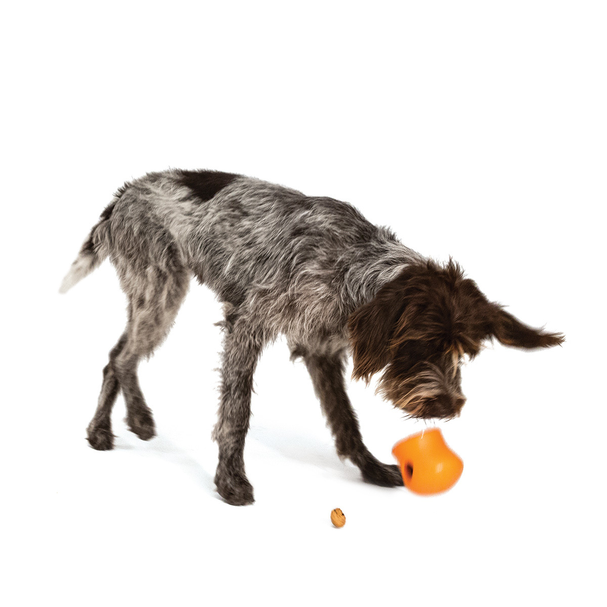 West Paw Toppl Treat Dispensing Wobbling Dog Toy & Food Bowl image 9