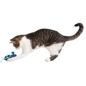 Doc & Phoebe's Interactive Indoor Hunting Cat Feeder Set image 9