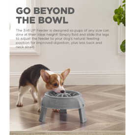 Outward Hound 3-in-1 Up Height Adjustable Dog Bowl - Purple image 9