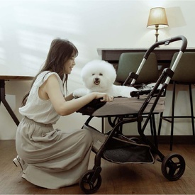 Ibiyaya InstaCollapse 2-in-1 Dog Stroller & Car Seat Carrier | Fold, Go, & Travel with Ease image 9