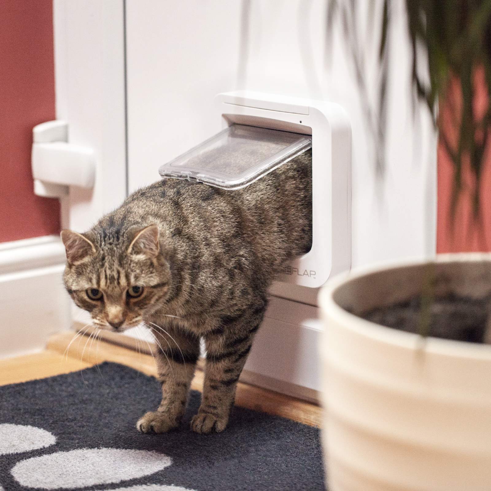 SureFlap Automatic Microchip Cat Door for Cats and Small Dogs image 10