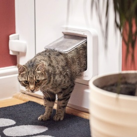 SureFlap Automatic Microchip Cat Door for Cats and Small Dogs image 10