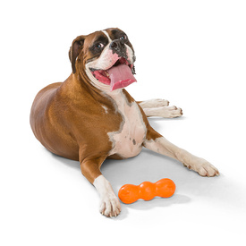 West Paw Rumpus Tough Fetch Stick Dog Toy image 10