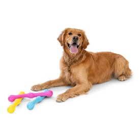 West Paw Zwig Tug & Fetch Stick Dog Toy - Guaranteed Tough image 10