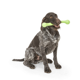 West Paw Zwig Tug & Fetch Stick Dog Toy image 10