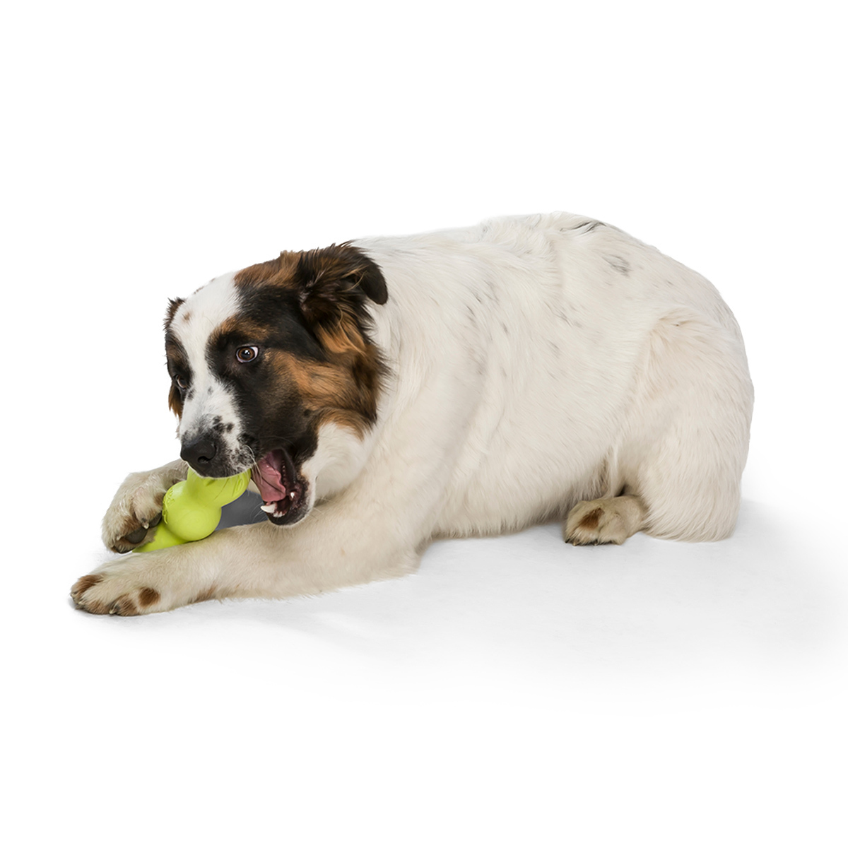 West Paw Rumpus Tough Fetch Stick Dog Toy image 11