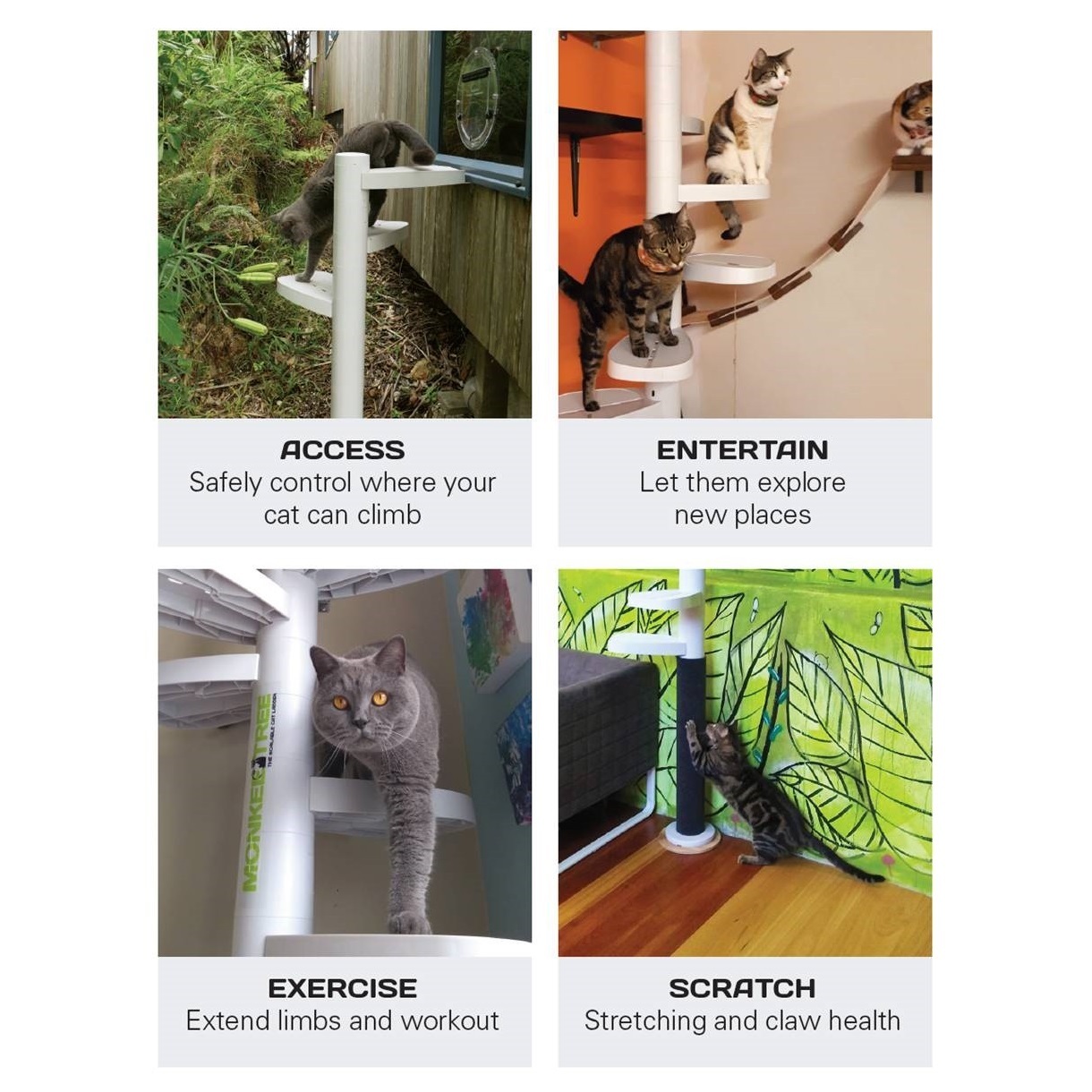 Monkee Tree - The Scalable Cat Climbing Ladder 18 Trunk Starter Pack image 11