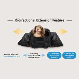 Ibiyaya JetPaw 3-in-1 Pet Stroller with Removable Carrier  image 11