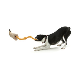 West Paw Bumi Tug & Fetch Zogoflex Dog Toy image 11