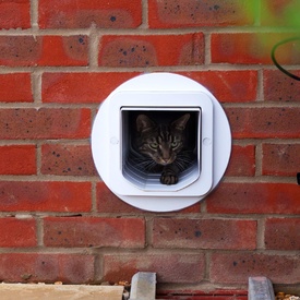 SureFlap Automatic Microchip Cat Door for Cats and Small Dogs - SMALL DOOR image 11