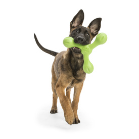 West Paw Skamp Flyer-Inspired Fetch Dog Toy in Bright Colours image 11