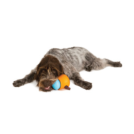 West Paw Toppl Treat Dispensing Wobbling Dog Toy & Food Bowl image 11