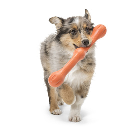 West Paw Zwig Tug & Fetch Stick Dog Toy - Guaranteed Tough image 11