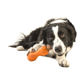 West Paw Qwizl Treat Dispensing Dog Toy - Treat Dispensing Dog Toy image 11