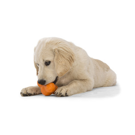 West Paw Tux Treat Dispenser for Tough Dogs image 11