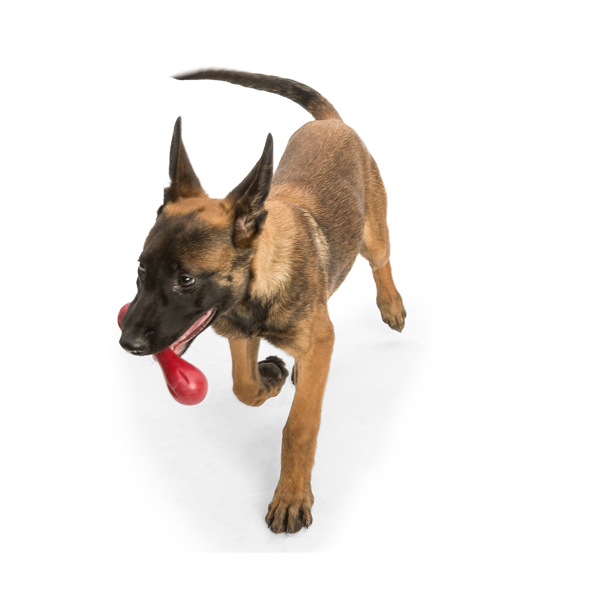 West Paw Hurley Fetch Toy for Tough Dogs image 12