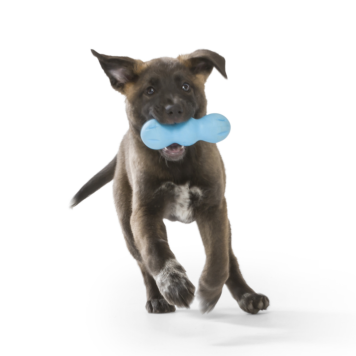 West Paw Rumpus Tough Fetch Stick Dog Toy image 12