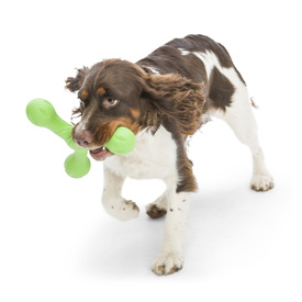 West Paw Skamp Flyer-Inspired Fetch Dog Toy in Bright Colours image 12