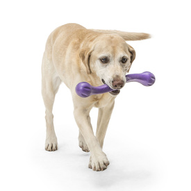 West Paw Zwig Tug & Fetch Stick Dog Toy - Guaranteed Tough image 12