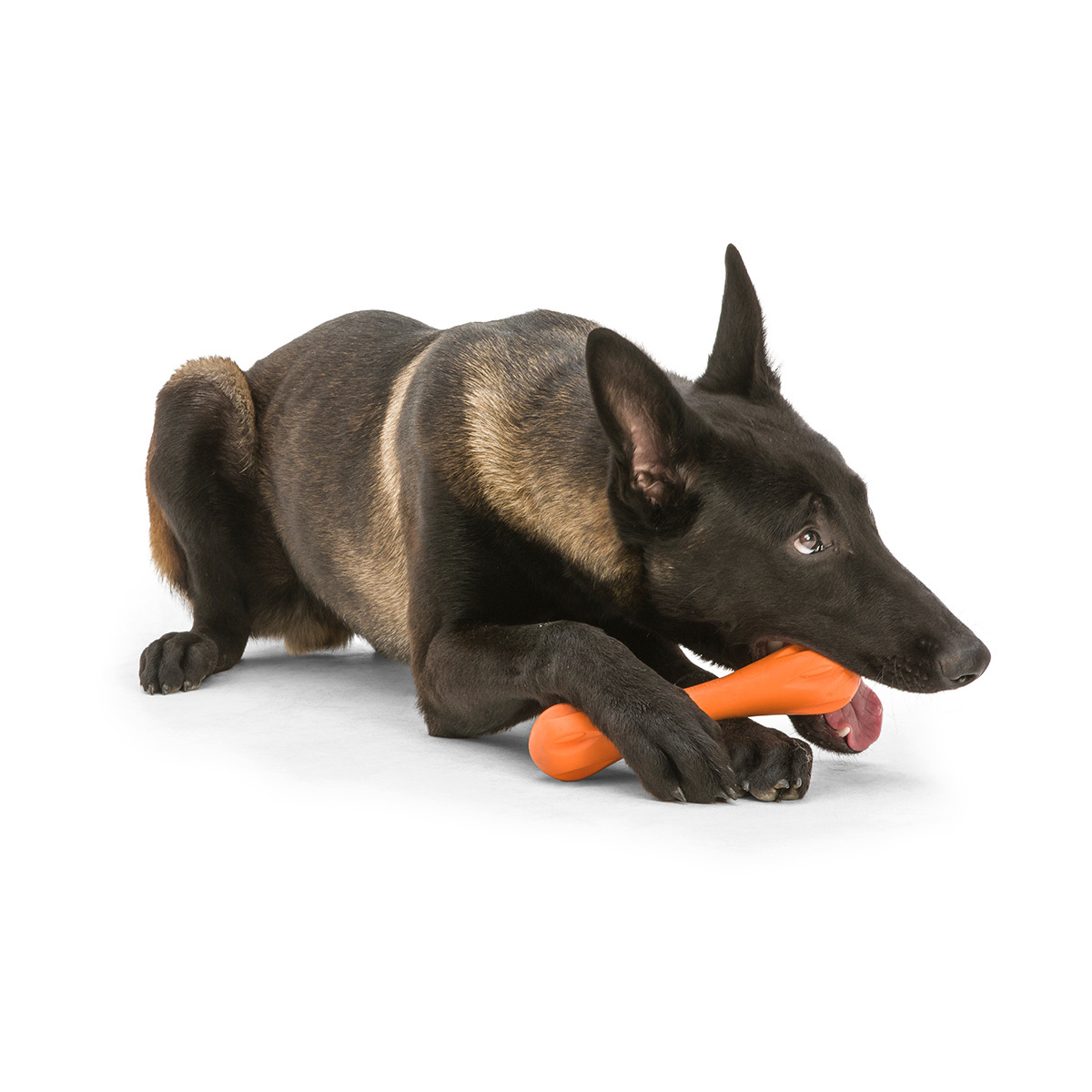 West Paw Hurley Fetch Toy for Tough Dogs image 13