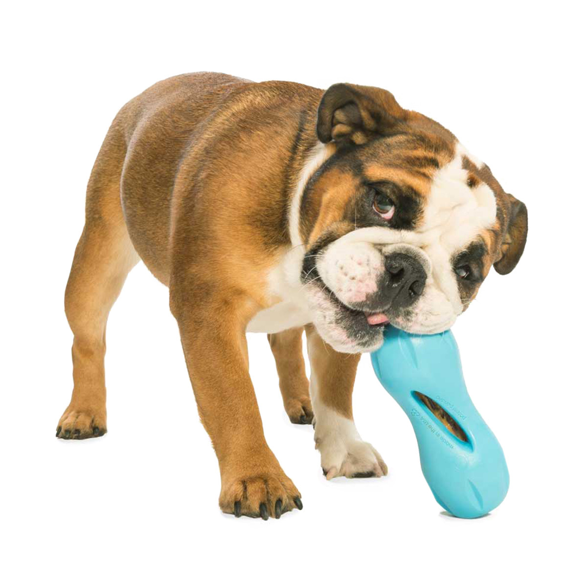 West Paw Qwizl Treat Dispensing Dog Toy - Treat Dispensing Dog Toy image 13