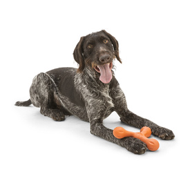 West Paw Skamp Flyer-Inspired Fetch Dog Toy in Bright Colours image 13