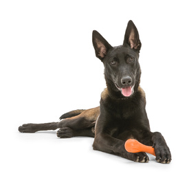 West Paw Hurley Fetch Toy for Tough Dogs image 14