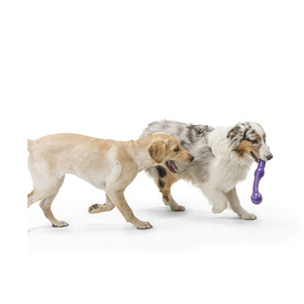 West Paw Zwig Tug & Fetch Stick Dog Toy image 14
