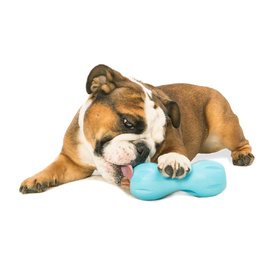 West Paw Qwizl Treat Dispensing Dog Toy - Treat Dispensing Dog Toy image 14