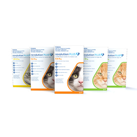 Revolution PLUS Flea, Worm & Tick Topical Prevention for Medium Cats 2.6-5kg - 6-Pack image 0