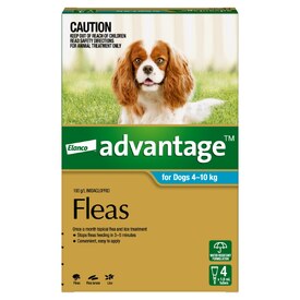 Advantage Spot-On Flea Control Treatment for Dogs 4-10kg - 4 Pack image 0