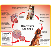 Heartgard 30 Plus Chews for Large Dogs 23-45kg Brown (6s) image 0