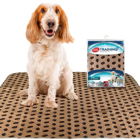 Simple Solution Washable Reusable Leak-Proof Training & Travel Wee Pad - 2 Pads image 0