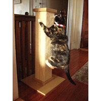 SmartCat Ultimate Heavy-Duty Sisal Cat Scratch Post image 0