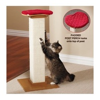 SmartCat Perch for the Ultimate Scratching Post