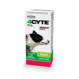 4CYTE Epiitalis Forte Gel Oral Joint Supplement for Dogs 50ml/100ml/200ml + Syringe image 0