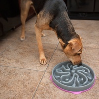 Outward Hound Fun Feeder Interactive Slow Bowl for Dogs - Purple Flower image 0