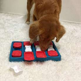 Nina Ottosson NEW Dog Brick Interactive Treat Dispenser Dog Toy  image 0