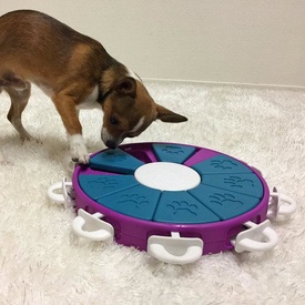 Nina Ottosson Interactive Treat Hiding Dog Toy Game - The Twister in Purple image 0