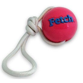 Planet Dog Orbee Tuff Fetch Ball Tough Dog Toy with Rope image 0