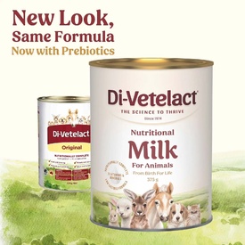 Di-Vetelact Advanced Nutritional Supplement & Milk Replacer for Newborn to Senior Pets image 0