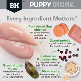 Black Hawk Original Chicken & Rice Puppy Dry Dog Food - Large Breeds image 0