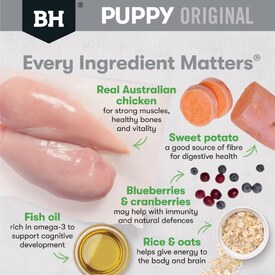 Black Hawk Original Chicken & Rice Puppy Dry Dog Food - Small Breeds image 0