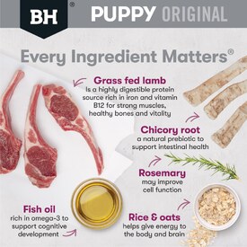 Black Hawk Original Lamb & Rice Puppy Dry Dog Food for Small Breeds - 10kg image 0